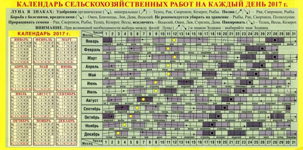 Благоприятные дни для посева моркови в 2020 году