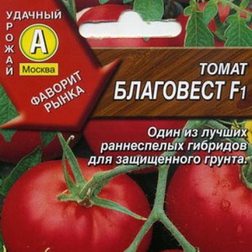 Сорт томатов верлиока — характеристика и особенности выращивания