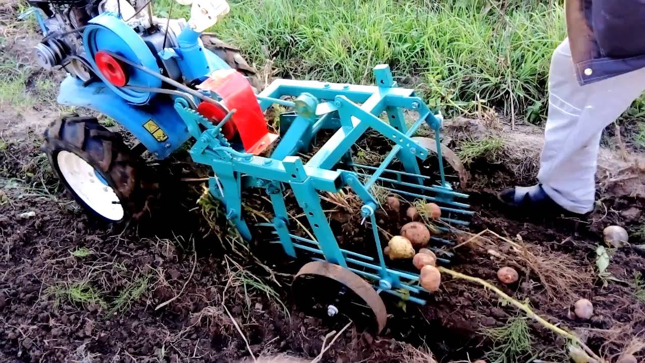 Окучивание картофеля с помощью мотоблоком нева