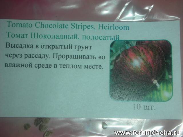 Сорт от отечественных специалистов — томат полосатый шоколад: описание помидоров и характеристики