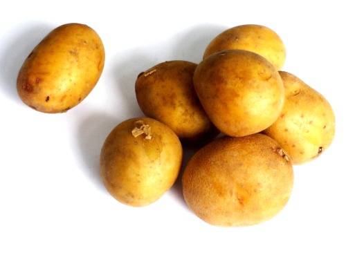 Картофель зекура: описание сорта, фото