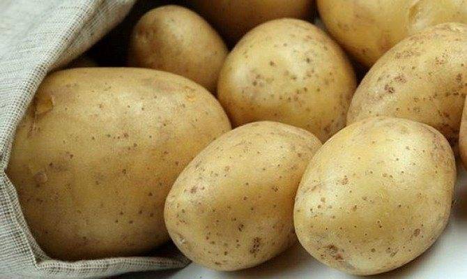Картофель лилея характеристика и описание сорта урожайность с фото