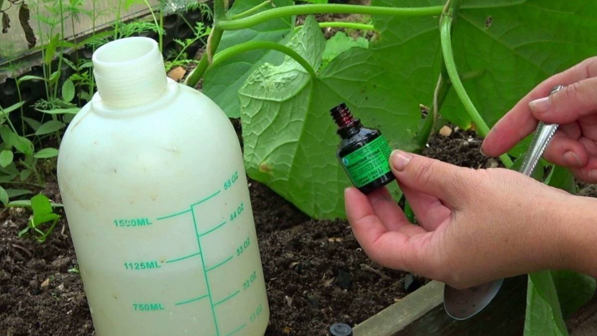 Монофосфат калия: состав удобрения и применение на огороде и в саду для различных овощей и ягод