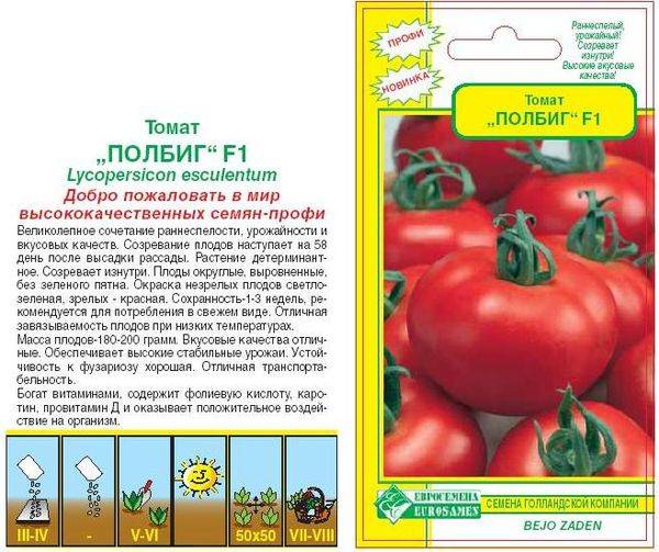 Томат "президент 2 f1": характеристика и описание сорта – все о томатах. выращивание томатов. сорта и рассада.