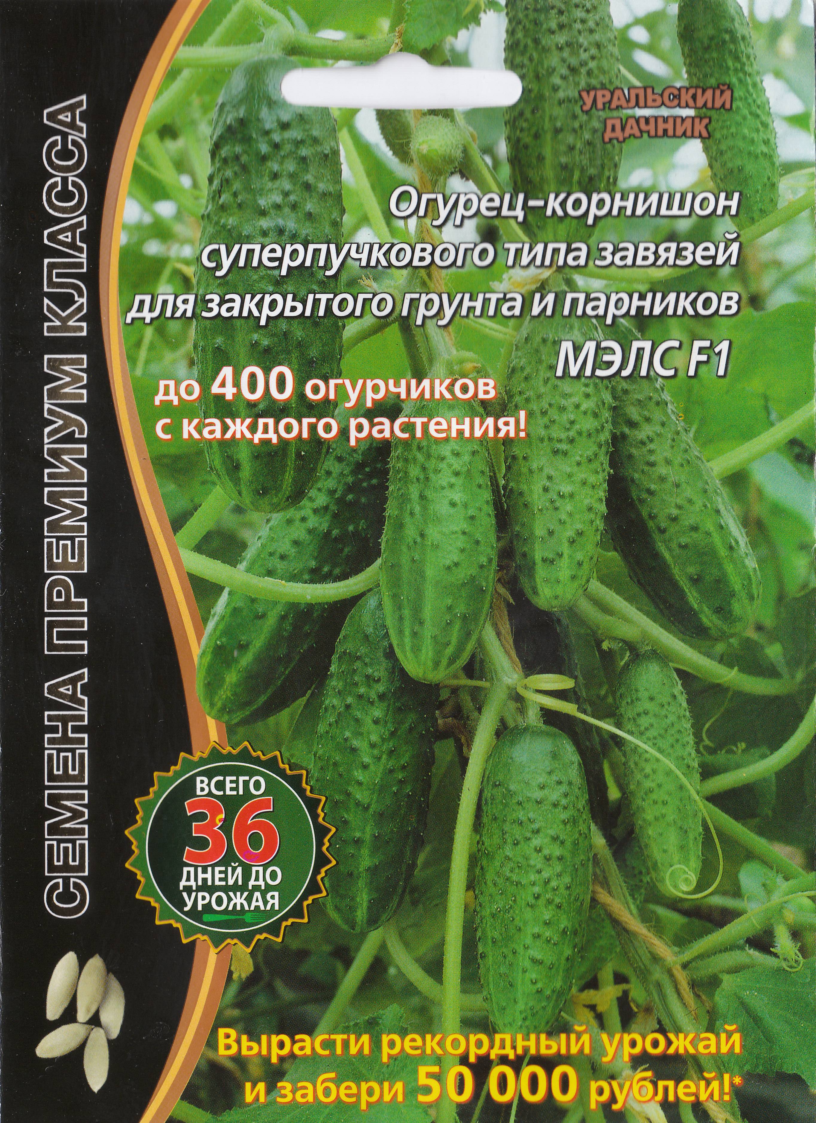 Огурцы мэлс f1: описание сорта, посадка, уход, фото, отзывы