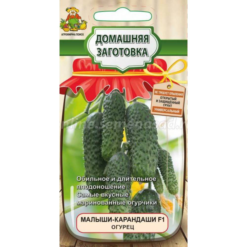 Лучшие сорта огурцов для засолки и консервирования для теплиц и открытого грунта: отзывы, характеристика и описание, урожайность, фото, особенности выращивания