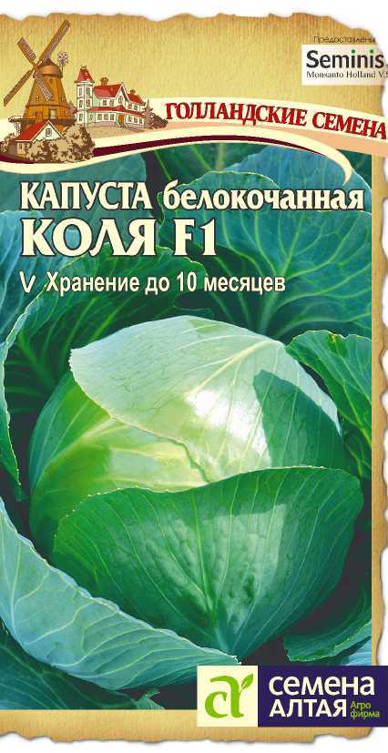 Семена капусты голландской селекции