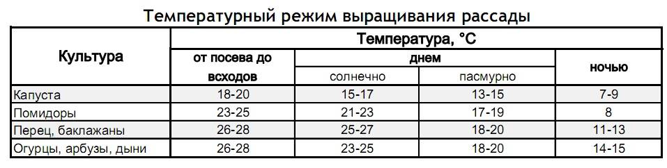 Когда и как высаживать рассаду помидоров в теплицу: при какой температуре