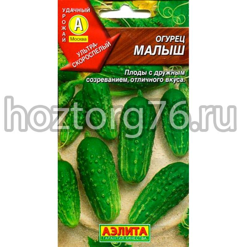 Огурец малыш