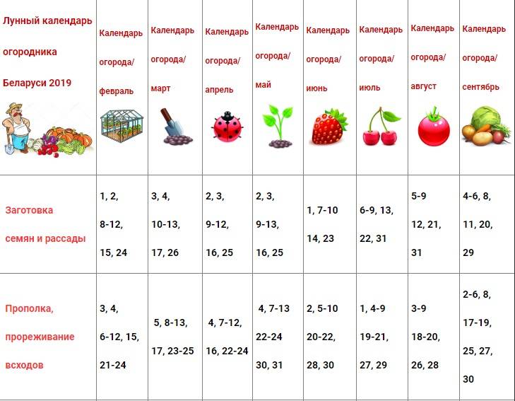 Лунный календарь огородника и садовода на октябрь 2021 года