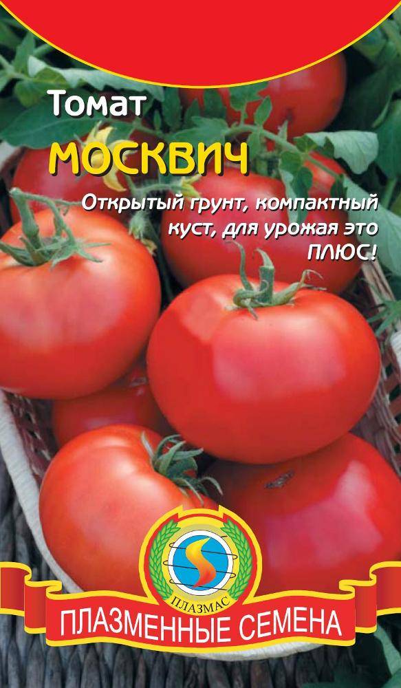 ✅ о томате москвич: описание и характеристики сорта, уход и выращивание - tehnomir32.ru