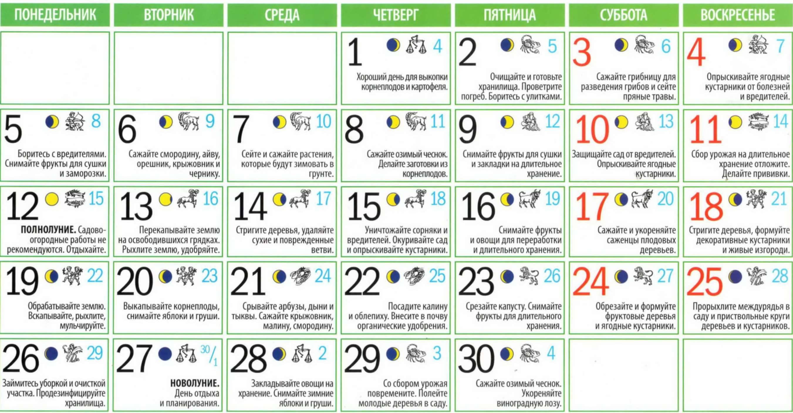 3 июня 2016 года. Лунный календарь. Календарь садовода. Что можно сажать в полнолуние. Дни посадки картофеля.