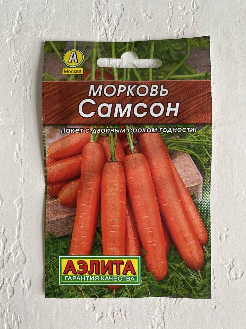 Морковь Самсон Описание Сорта Фото