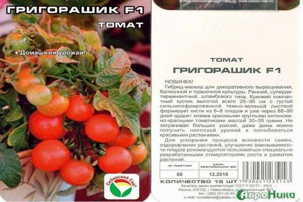 Характеристика и описание сорта томата кукла f1, его урожайность