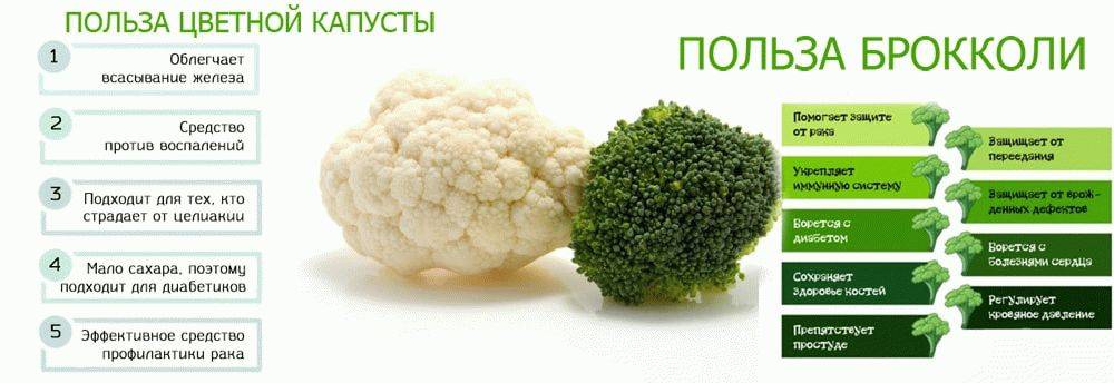 Польза цветной капусты — 8 фактов о её влиянии на здоровье организма