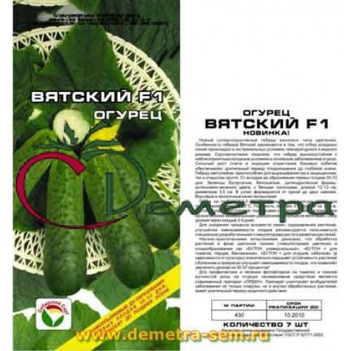 Огурец вятич f1 - описание сорта, фото, отзывы, посадка и уход - журнал "совхозик"