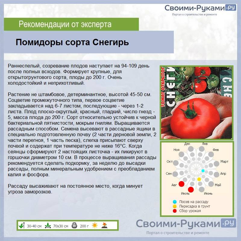 Томат снегирь: описание сорта, правила посадки и ухода, отзывы