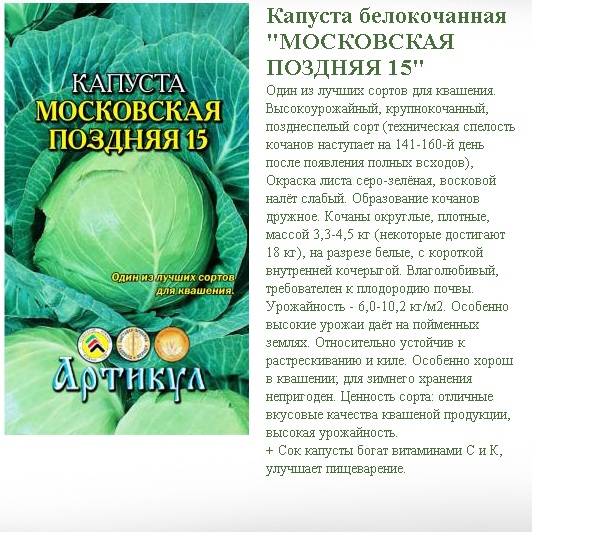 Лучшие сорта капусты. Поздние сорта капусты белокочанной для квашения и хранения. Сорта капусты белокочанной для хранения на зиму сорта. Сорта белокочанной капусты для длительного хранения. Поздние сорта капусты для квашения.