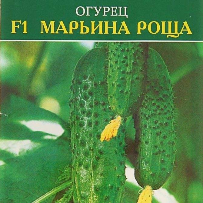 Огурец марьина роща f1: описание и характеристика, отзывы