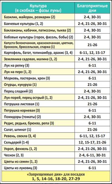Когда сажать чеснок в октябре-ноябре 2019: лучшие дни для посадки чеснока по лунному календарю