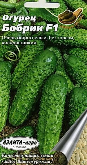 Огурец кибрия f1: отзывы, описание сорта, фото