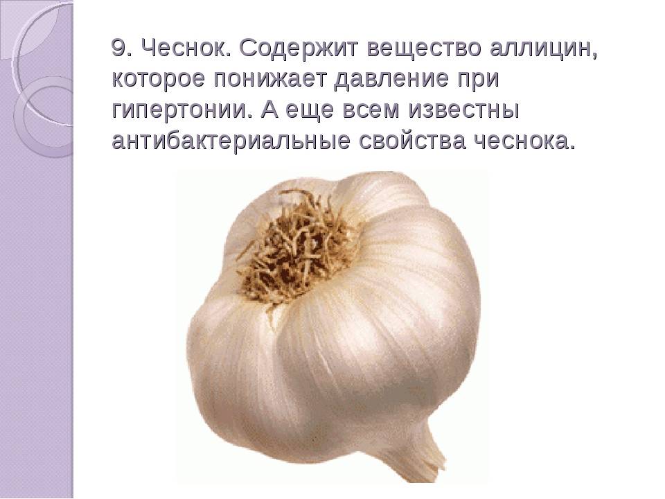 Чеснок состав. Что содержит чеснок. Вещества в чесноке. Чеснок вещество содержит. Вещества содержащиеся в чесноке.