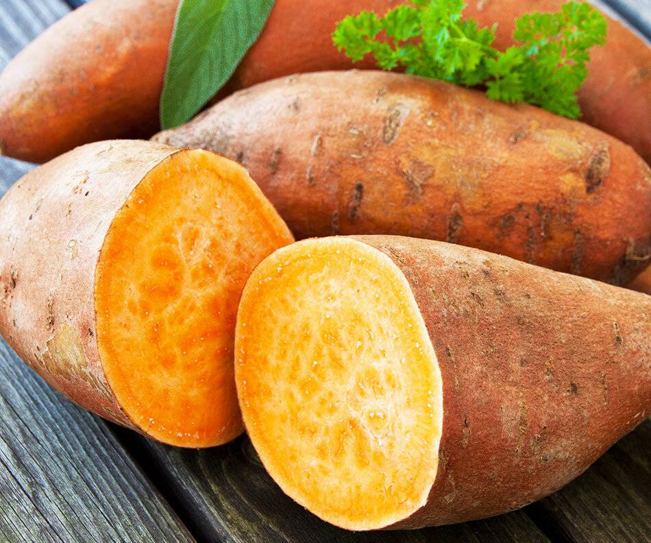 Батат: польза и вред сладкого картофеля для здоровья, целебные свойства и противопоказания этого растения и чем такой овощ отличается от обычной картошки?
