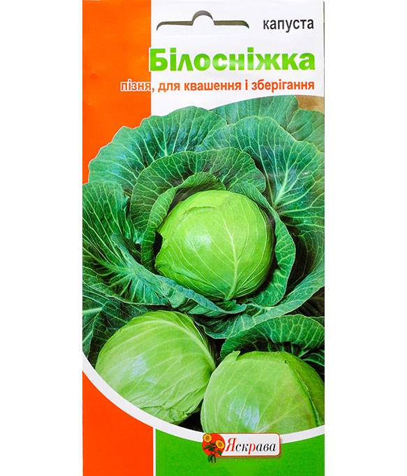 Капуста белоснежка. Капуста Белоснежка семена. Капуста Белоснежка описание. Капуста Белоснежка описание сорта.