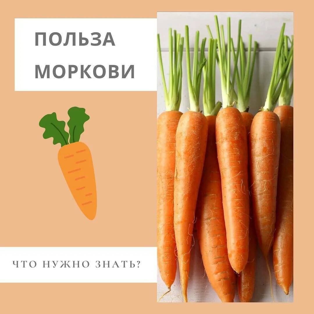 Сколько грамм весит морковь
