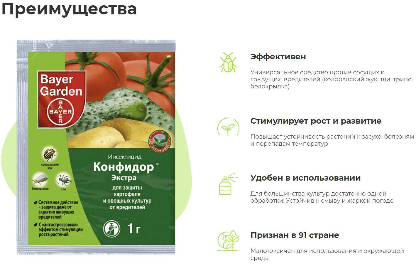 Березовый деготь как средство борьбы с колорадским жуком