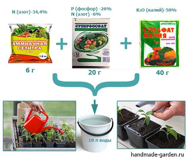 Виды фосфорных удобрений для томатов. инструкция по применению