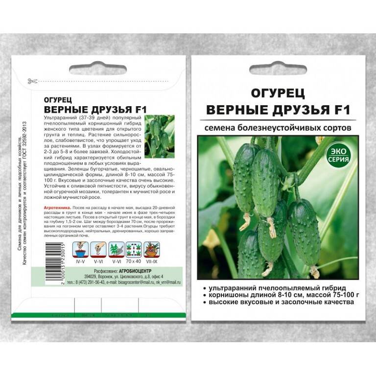 Описание сорта огурцов верные друзья - дневник садовода zemla43.ru