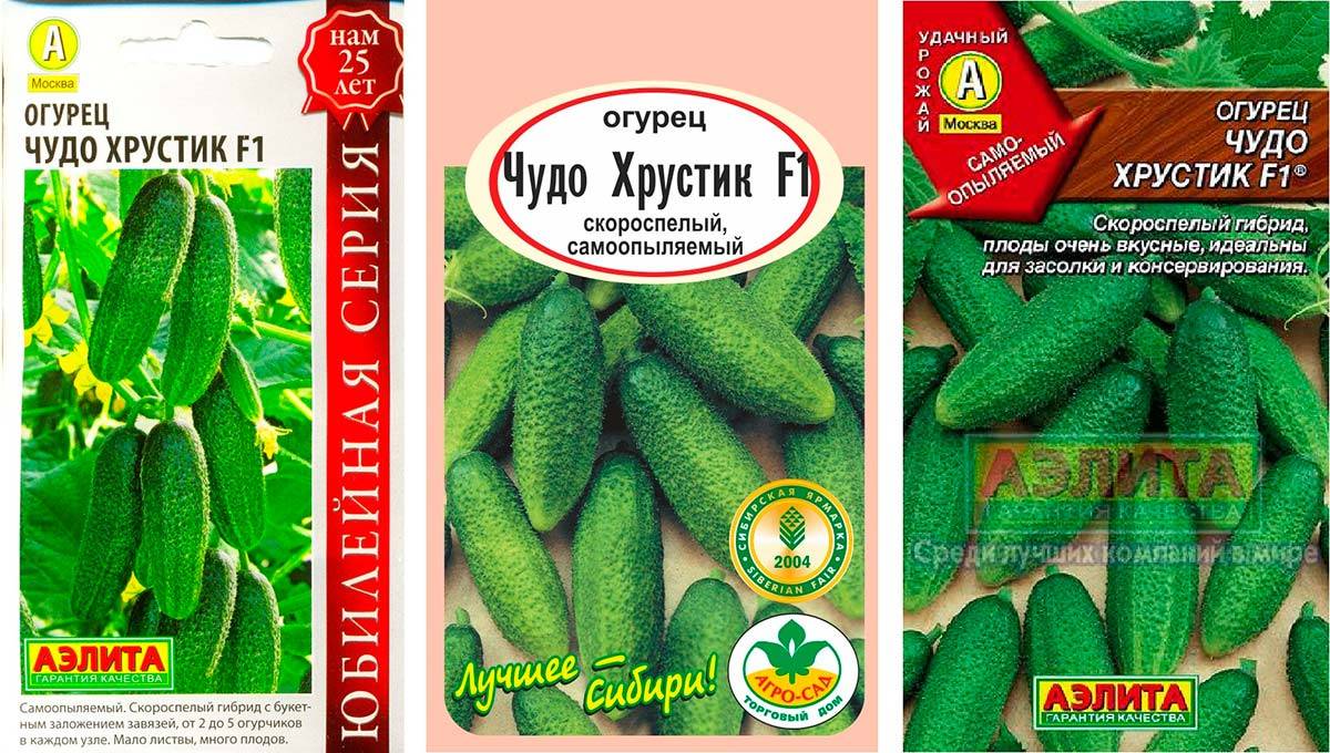 Огурец чудо хрустик f1: описание, отзывы, фото, урожайность