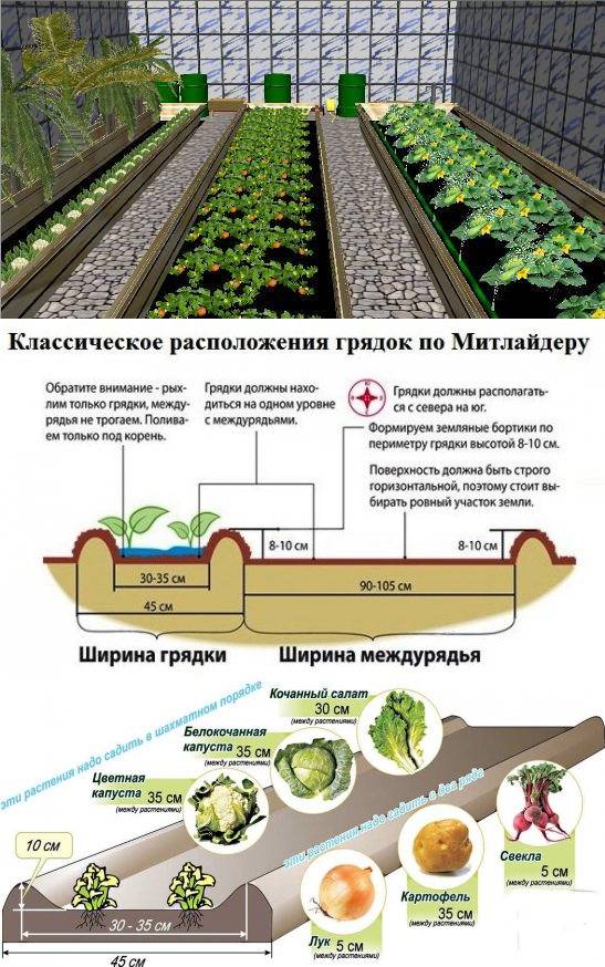 Особенности подготовки гряд для посадки картофеля по методу миттлайдера