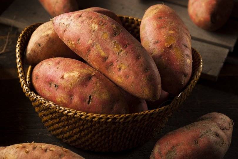 Сладкий картофель батат - выращивание, посадка, размножение