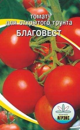 Помидоры сорта благовест отзывы. Благовест сорт томатов. Томат Благовест Гавриш. Семена помидор Благовест. Сорт помидор Благовест.