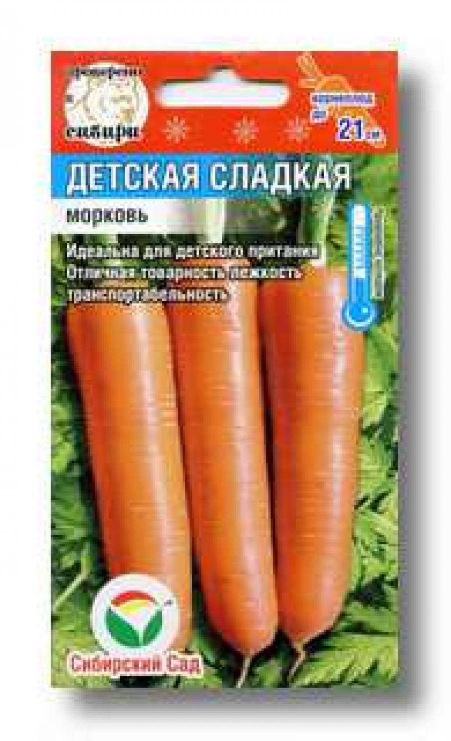 Правила посадки моркови в сибири