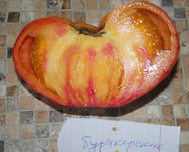 Характеристика сорта томатов бурракерские любимцы