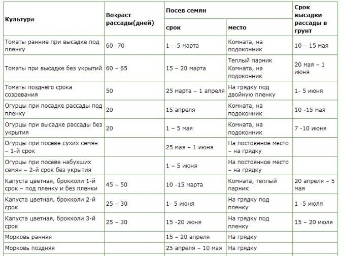 Посадка огурцов на рассаду в 2021 году: благоприятные дни когда сажать