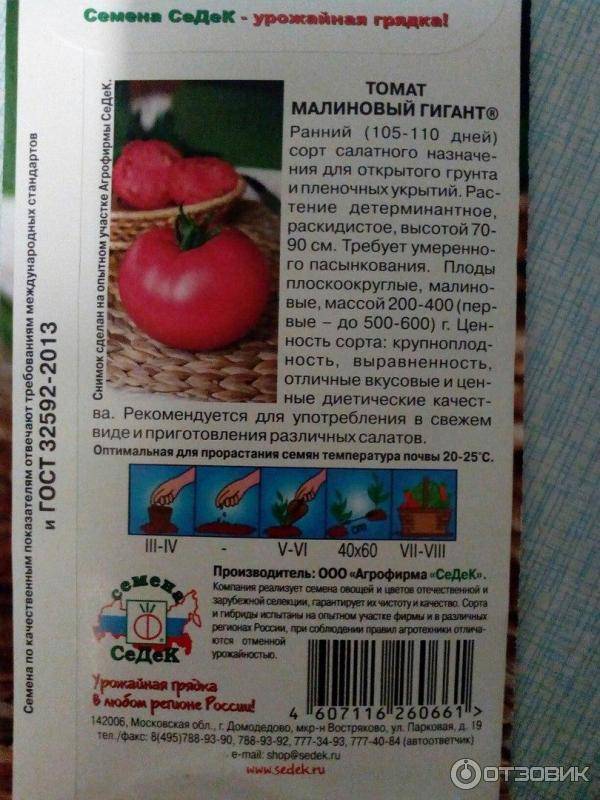 Томат "малиновый гигант": характеристика и описание сорта – все о томатах. выращивание томатов. сорта и рассада.
