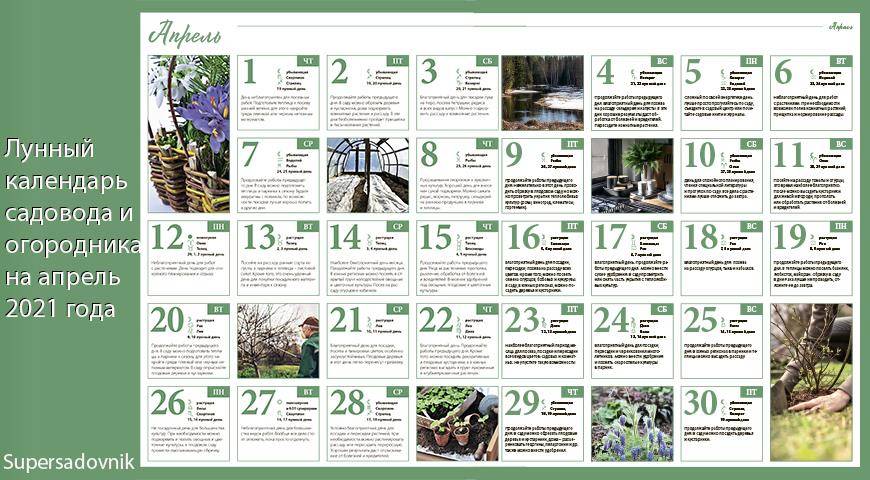 Лунный посевной календарь 2021 для садовода, огородника и цветовода – таблицы по месяцам и дням!