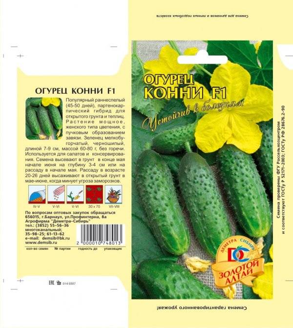 Лучшие сорта огурцов: самые урожайные сорта огурцов для открытого грунта