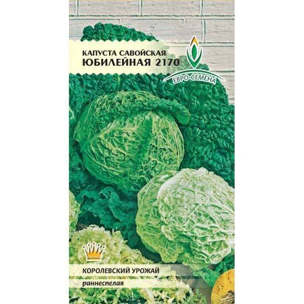 Лучшие засолочные сорта капусты: старинные и новые | домсадовника