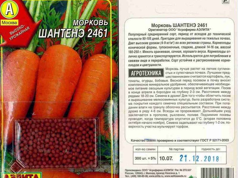 Морковь семена лучшие сорта для открытого. Шантане 2461 морковь описание. Морковь для подзимнего посева сорта. Название семян моркови. Семена моркови для посадки.