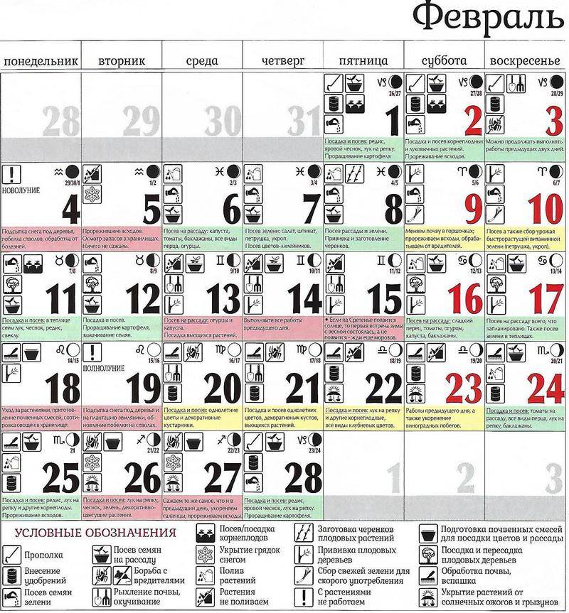 Календарь огородника и садовода на 24 мая 2021 года