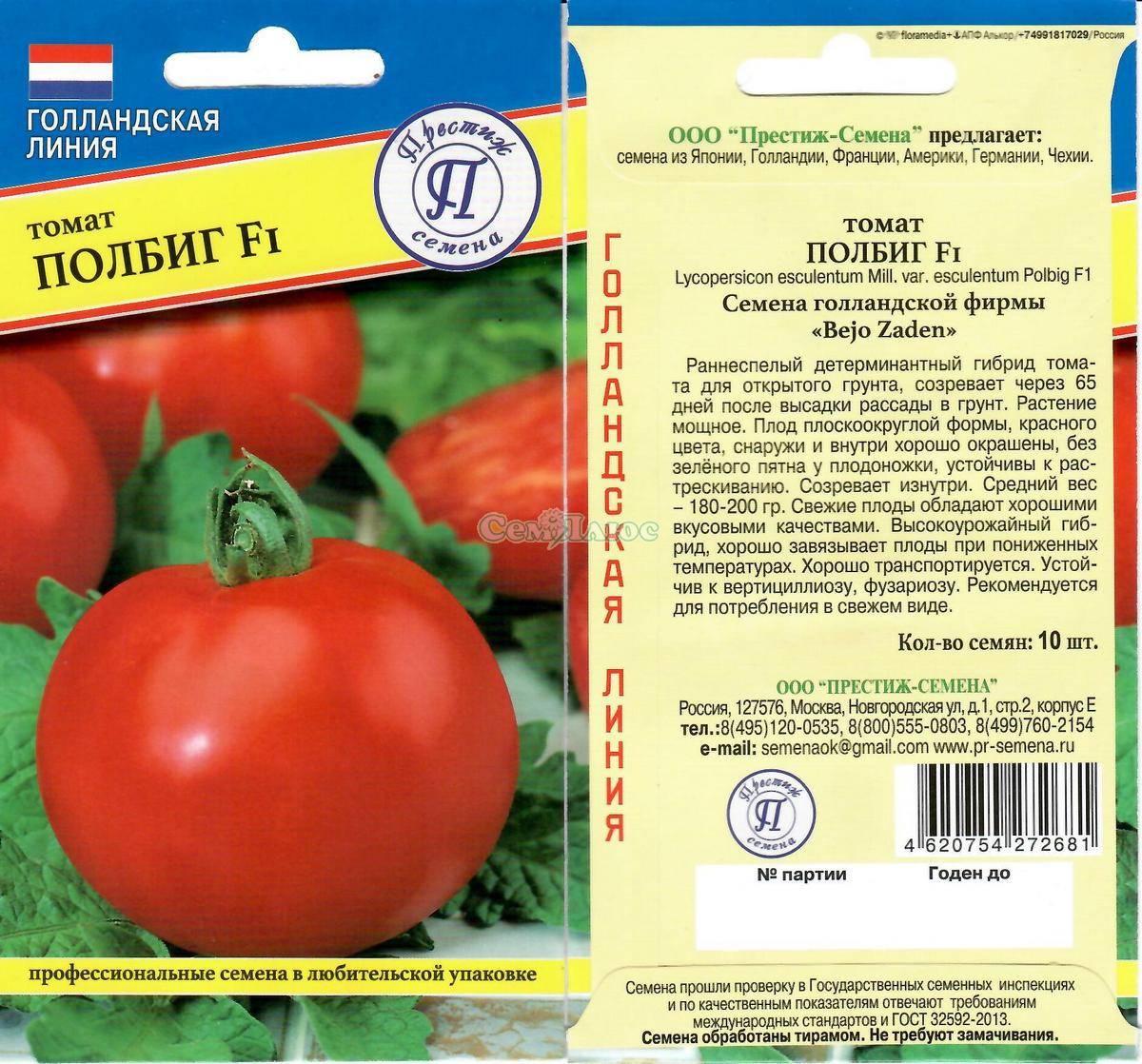 Томат полбиг (f1): характеристика и описание гибрида, фото кустов и помидоров, отзывы об урожайности от тех, кто их выращивал, нюансы ухода