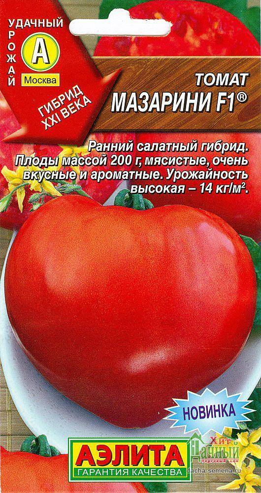Как вырастить на даче томат «мазарини» — инструкция от подготовки семян до сбора урожая