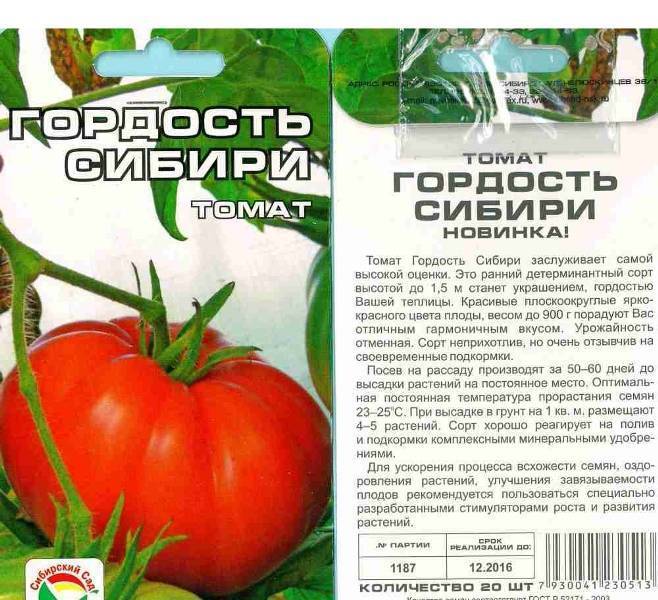 Томат "король гигантов": характеристика и описание сорта, отзывы, фото, урожайность – все о томатах. выращивание томатов. сорта и рассада.