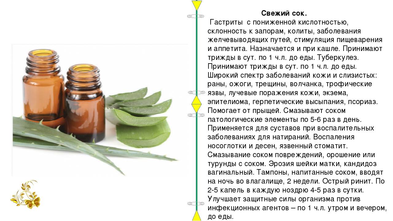 Семечки при гастрите: тыквеные, подсолнухса, жаренные | компетентно о здоровье на ilive