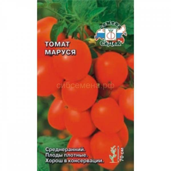 Томат "маруся": характеристика и описание сорта, урожайность, отзывы, фото